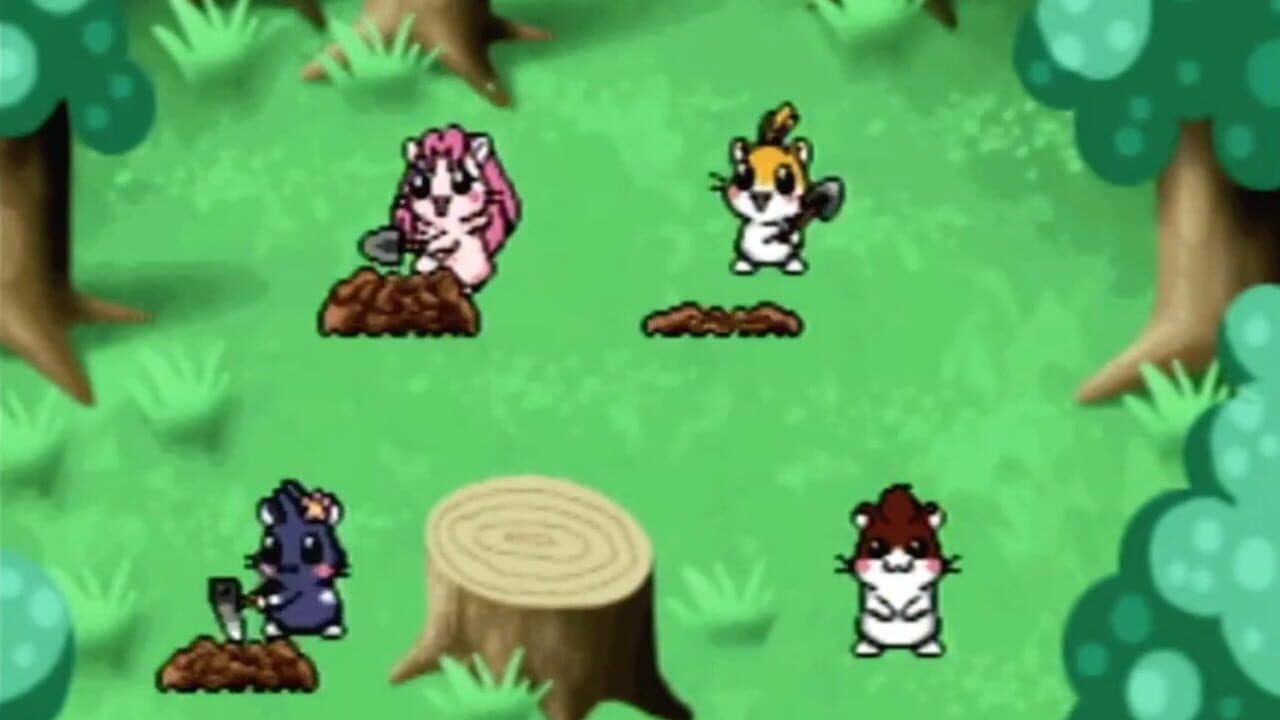 Dokodemo Hamster 4: Doki-doki Sugoroku Daibouken! thumbnail 2