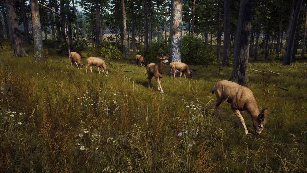 Way of the Hunter thumbnail 4