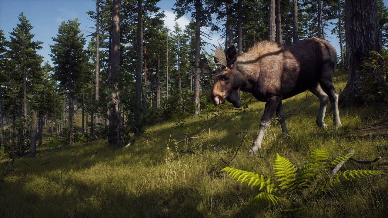 Way of the Hunter thumbnail 6
