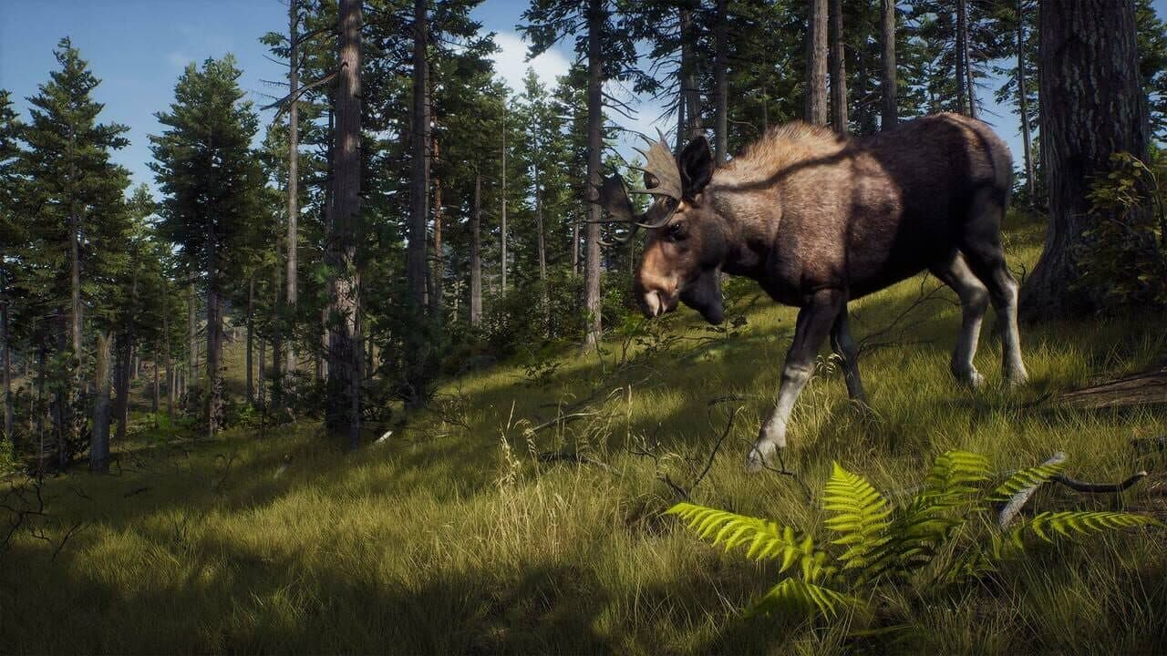 Way of the Hunter thumbnail 8