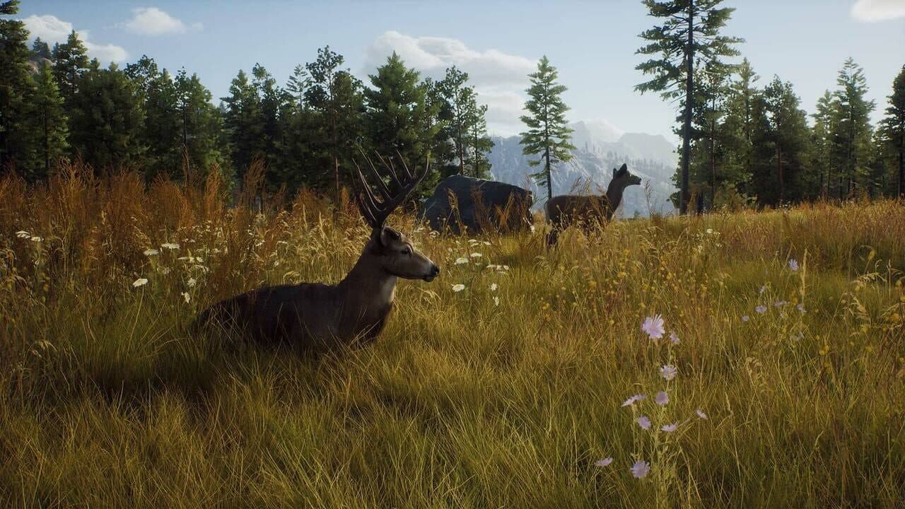 Way of the Hunter thumbnail 10