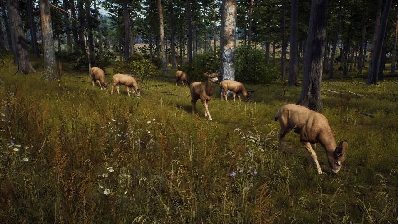 Way of the Hunter thumbnail 12