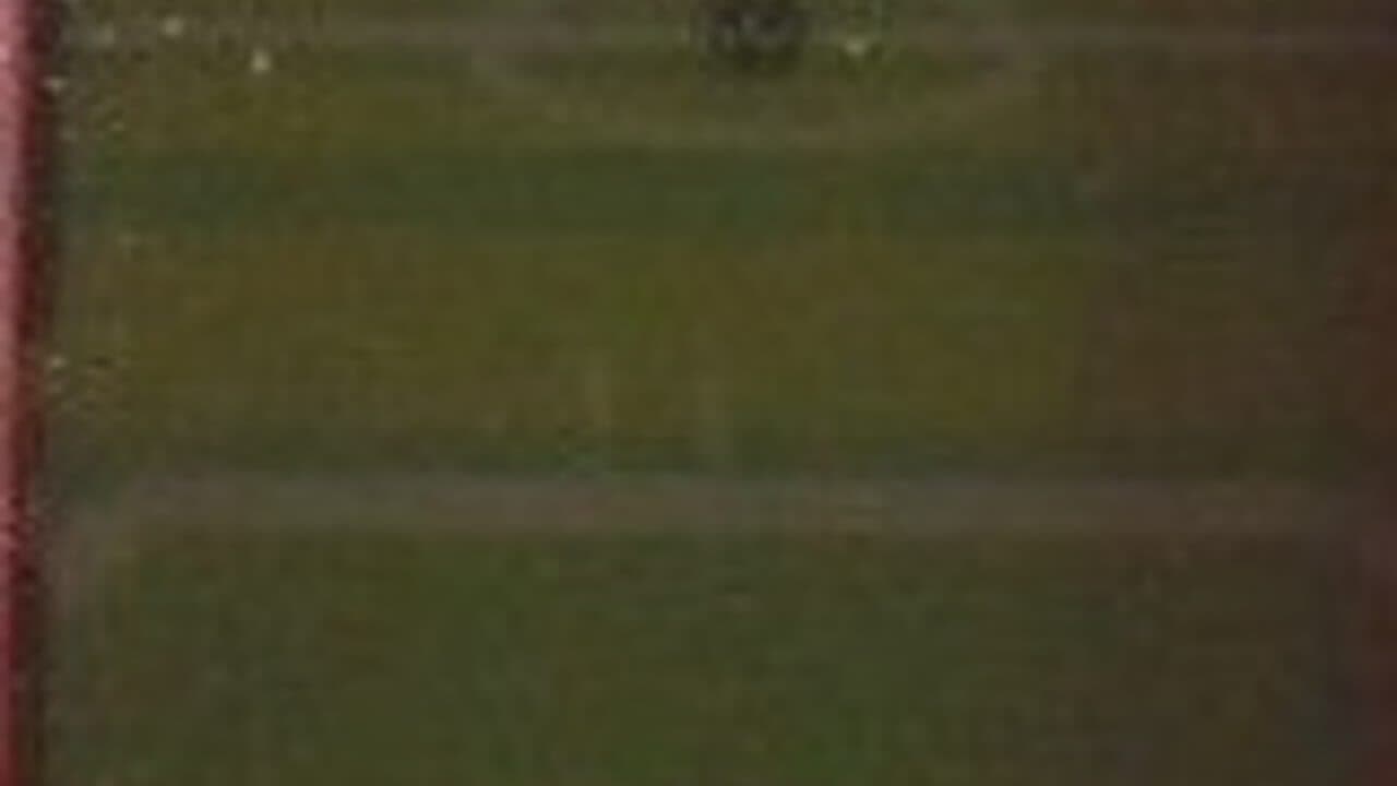 Knuckles Soccer screenshot 1