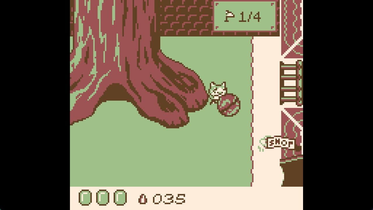 Chico and the Magic Orchards thumbnail 2