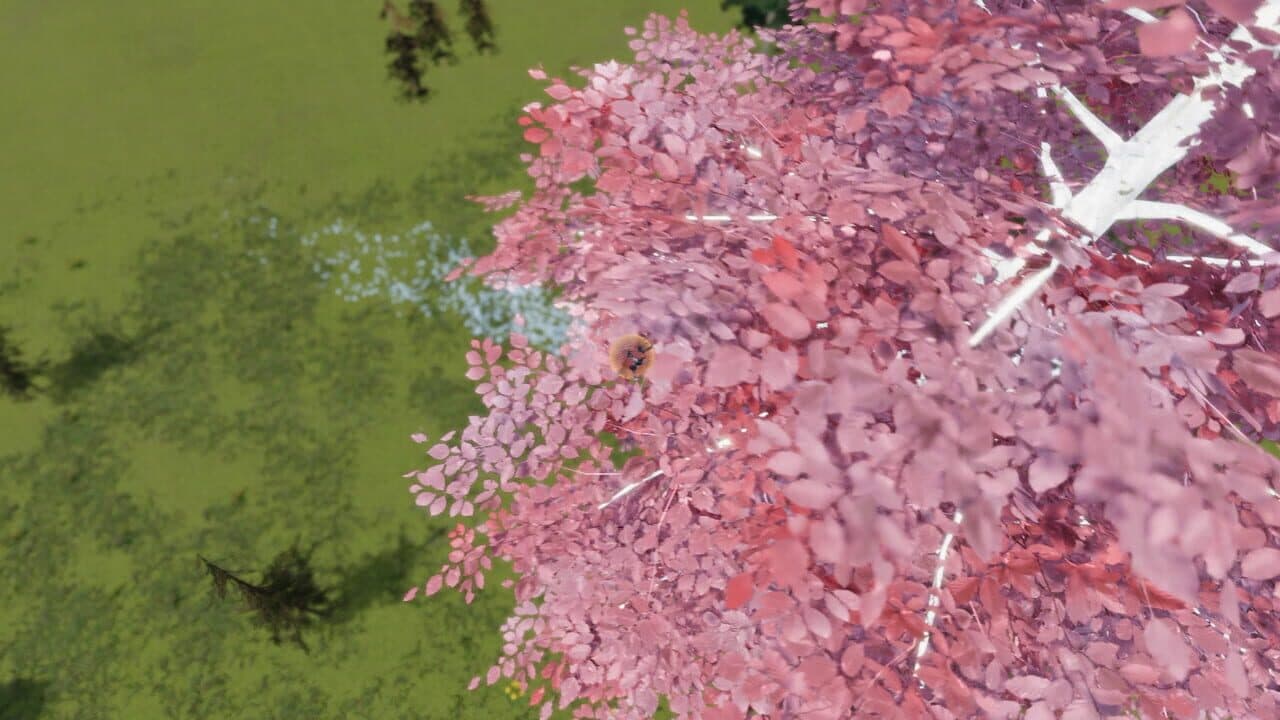 The Ball Flow: Nature and Light thumbnail 2