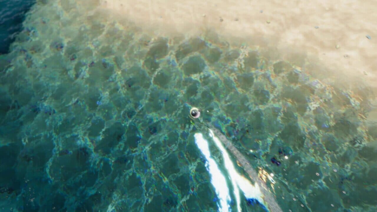 The Ball Flow: Nature and Light thumbnail 3