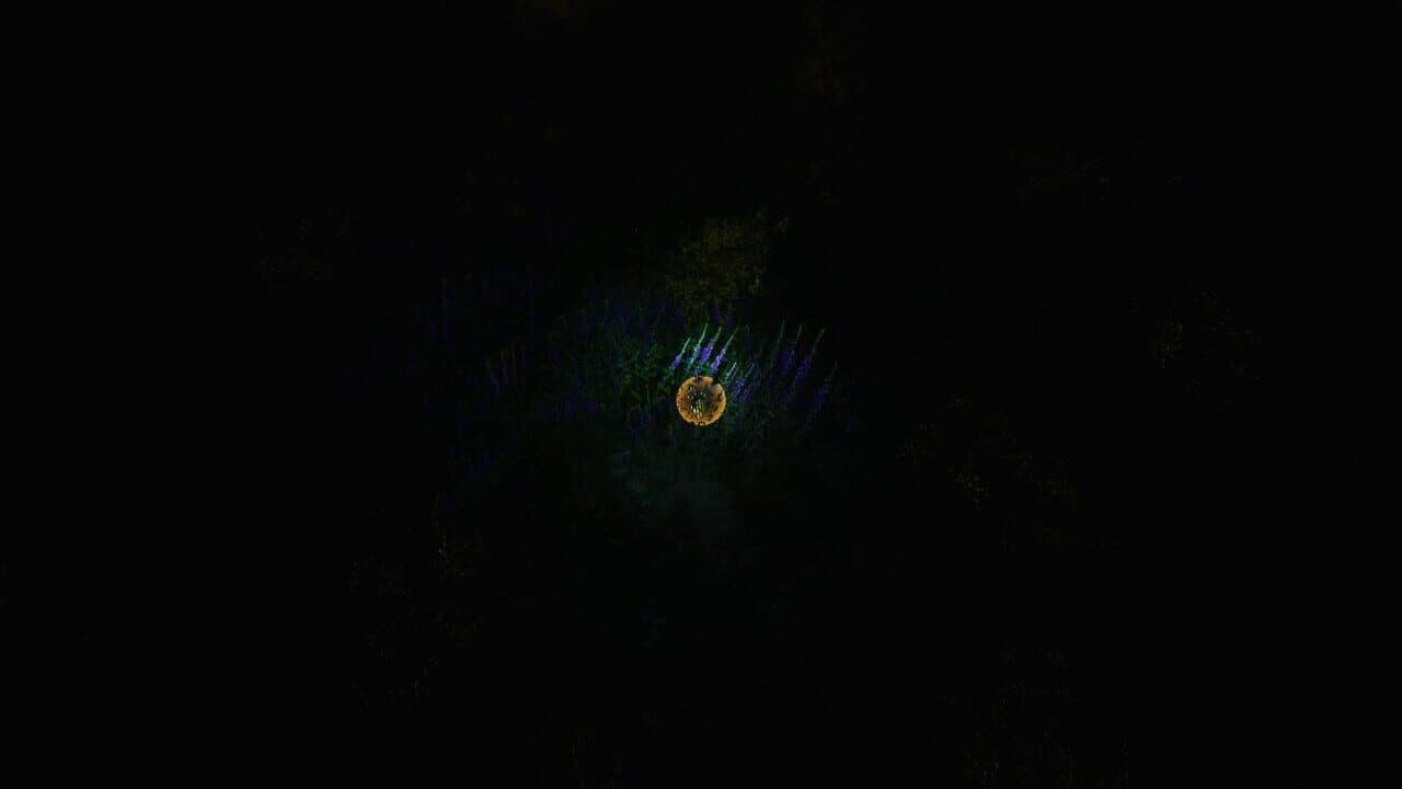 The Ball Flow: Nature and Light thumbnail 5