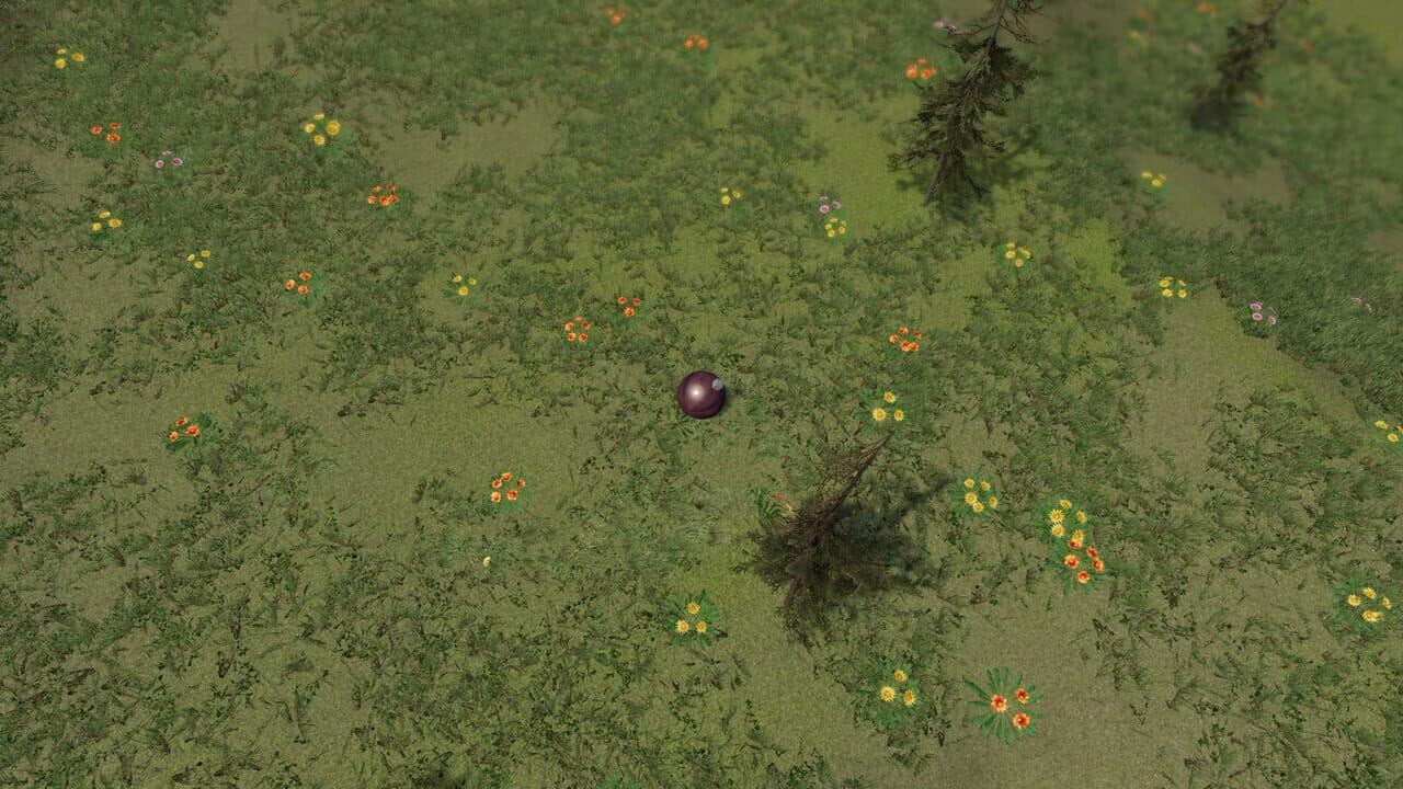 The Ball Flow: Nature and Light thumbnail 14