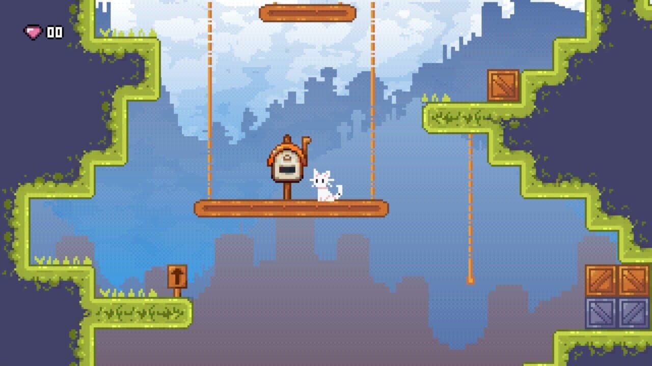Bundle Cats + Dog thumbnail 2