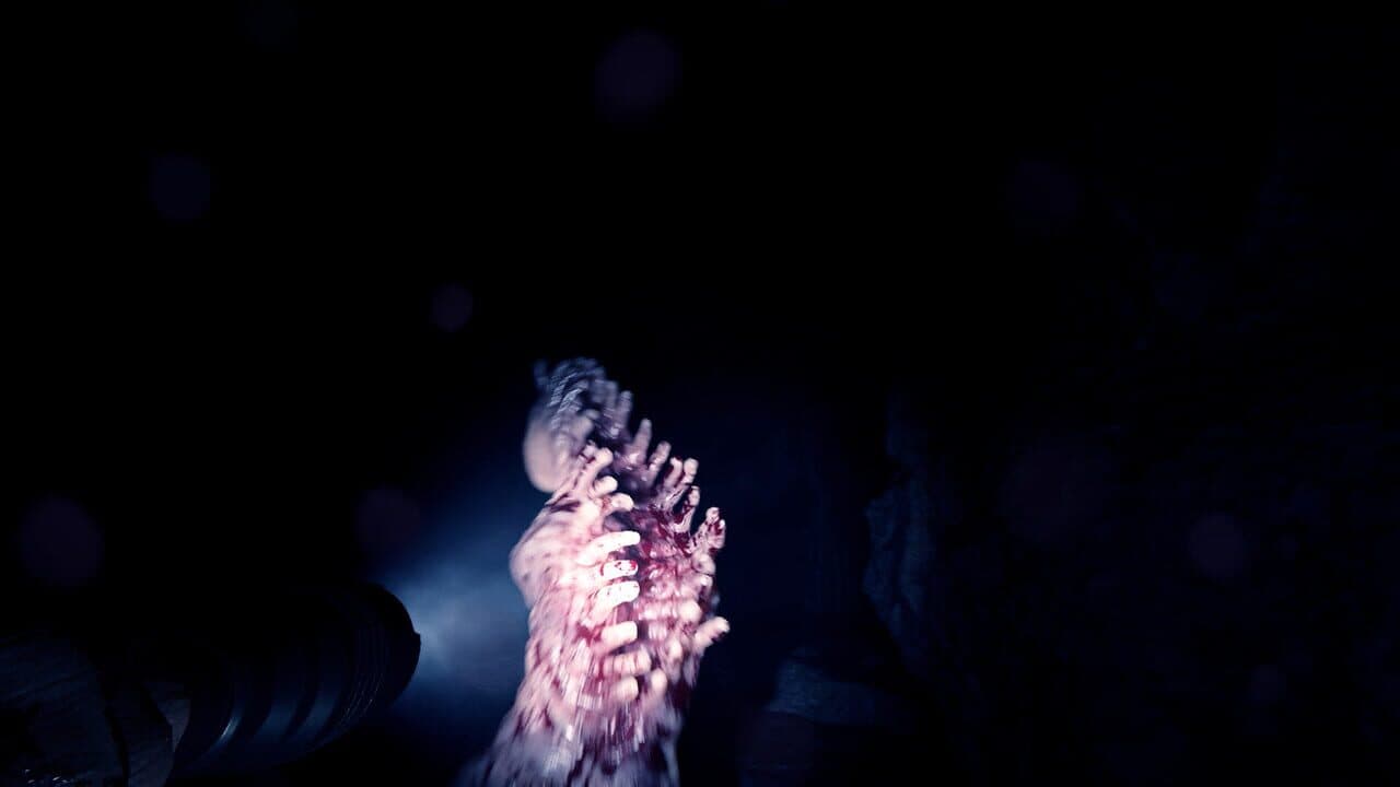Sons of the Forest thumbnail 11