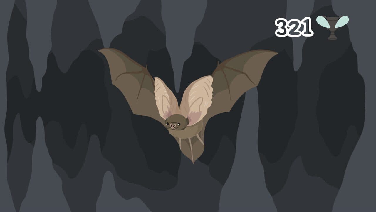 The Bat D thumbnail 2