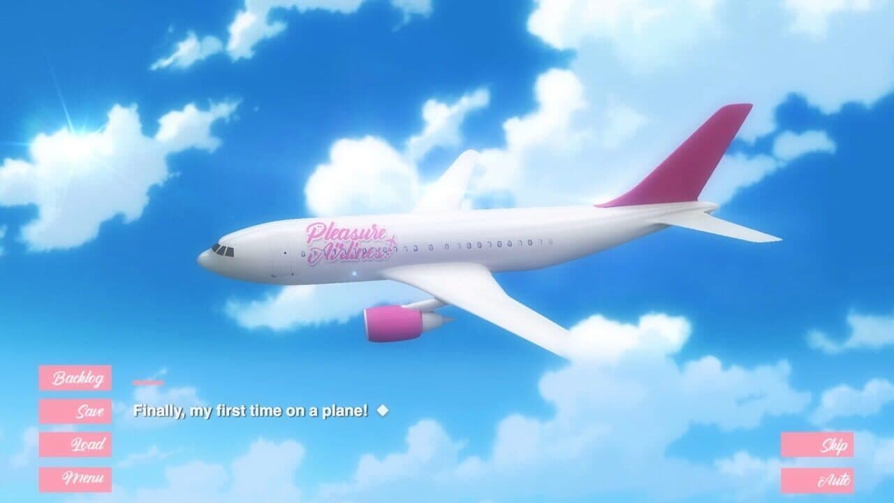 Pleasure Airlines thumbnail 6