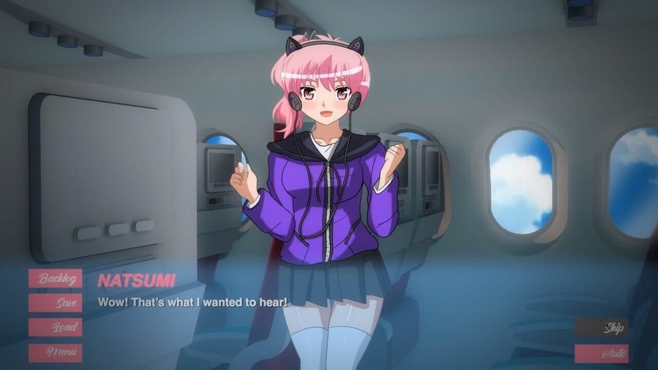 Pleasure Airlines screenshot 1