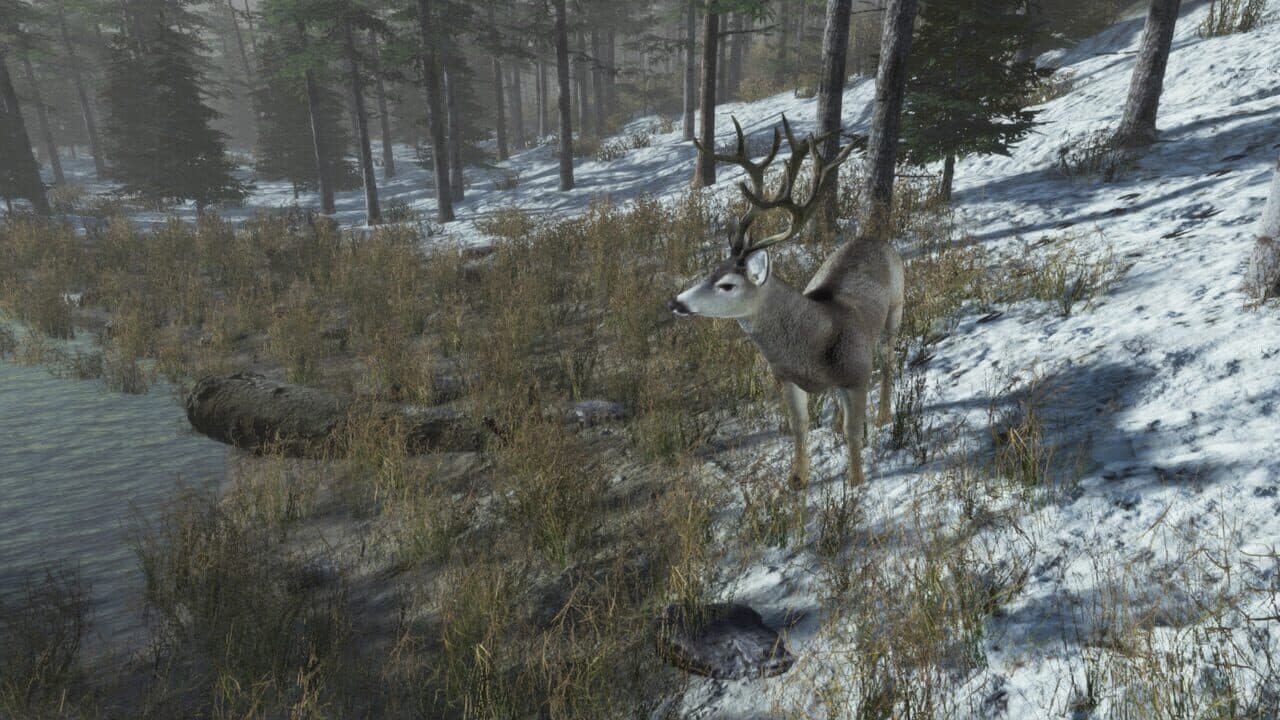 Pro Deer Hunting: Out West thumbnail 5