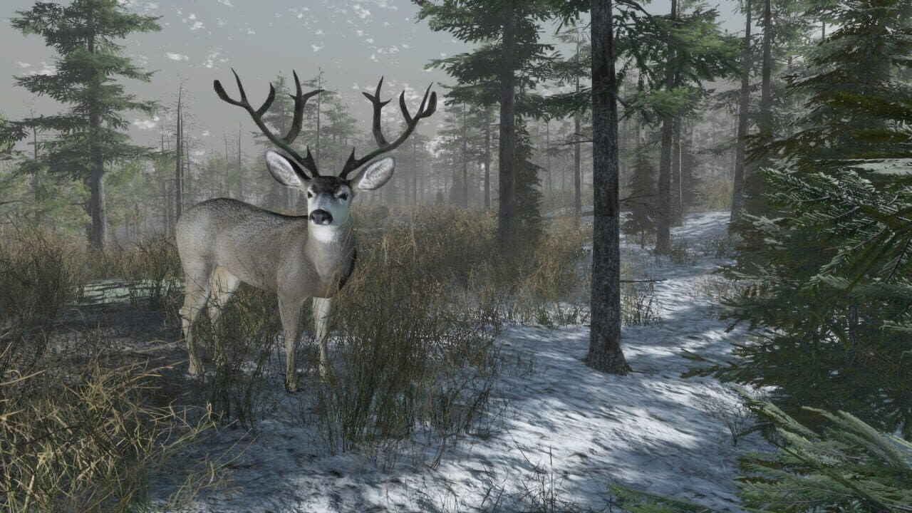 Pro Deer Hunting: Out West thumbnail 8
