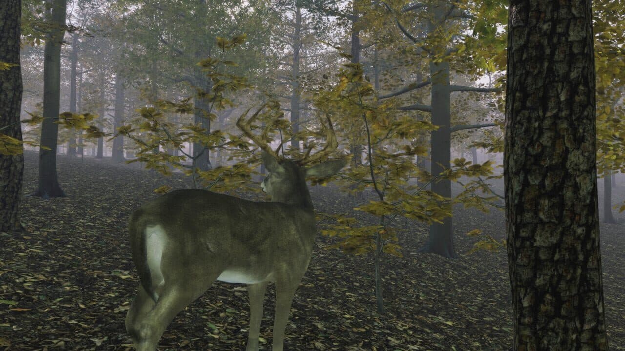 Pro Deer Hunting: Out West thumbnail 10
