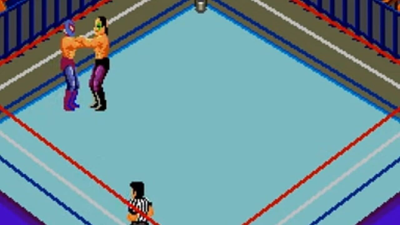 Fire Pro Wrestling: Combination Tag thumbnail 3