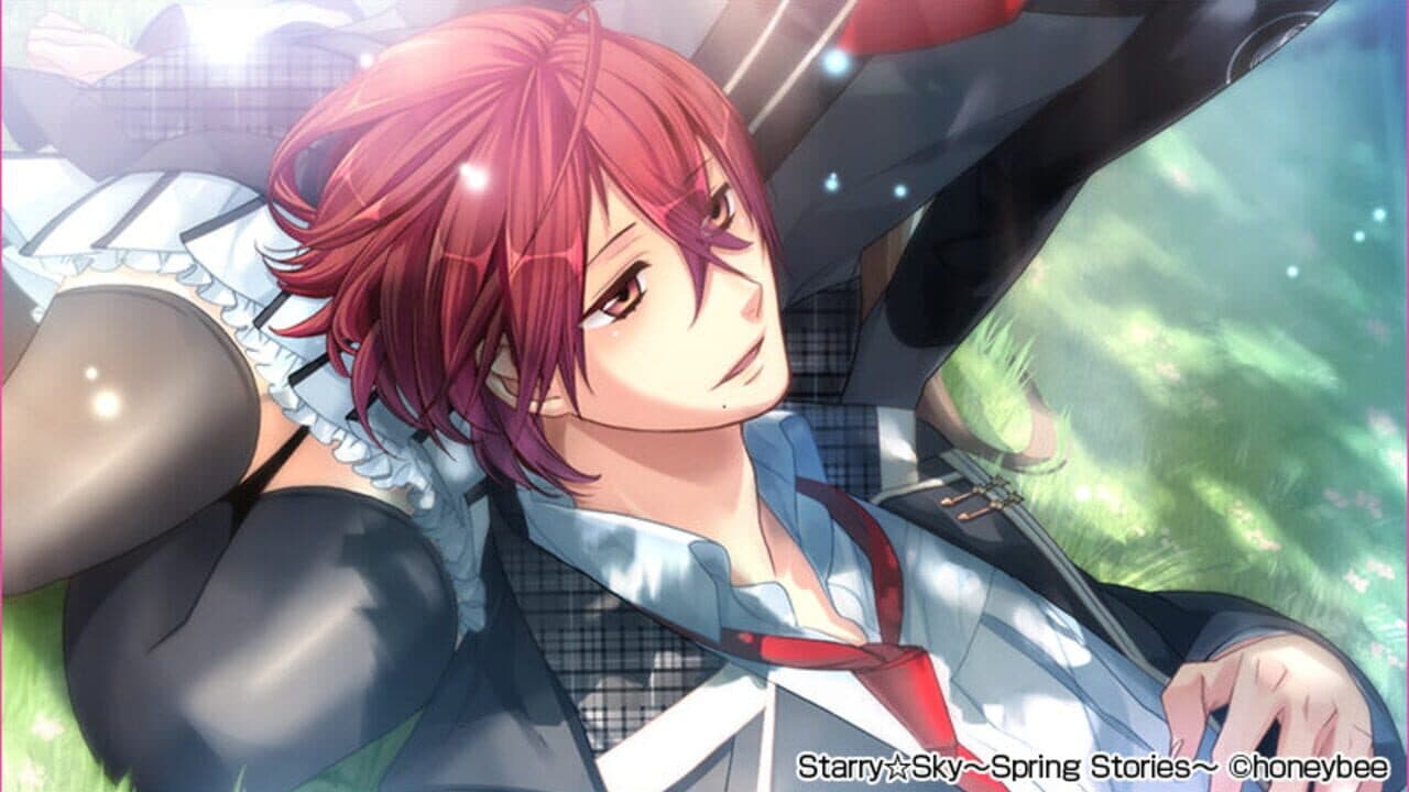 Starry Sky: Spring Stories thumbnail 3