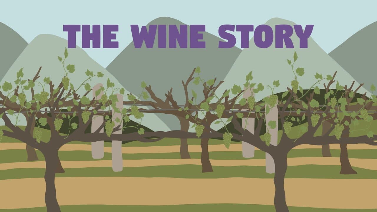 The Wine Story thumbnail 5