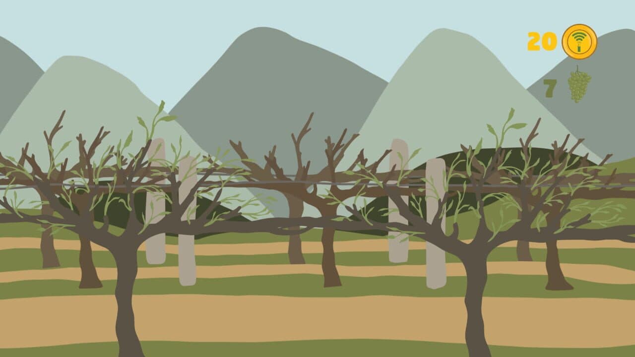 The Wine Story thumbnail 2