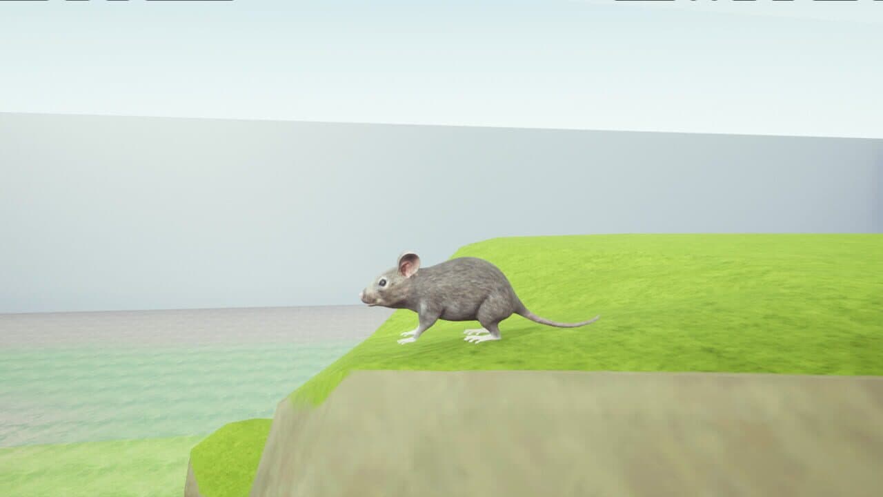 Rat Memory screenshot 1