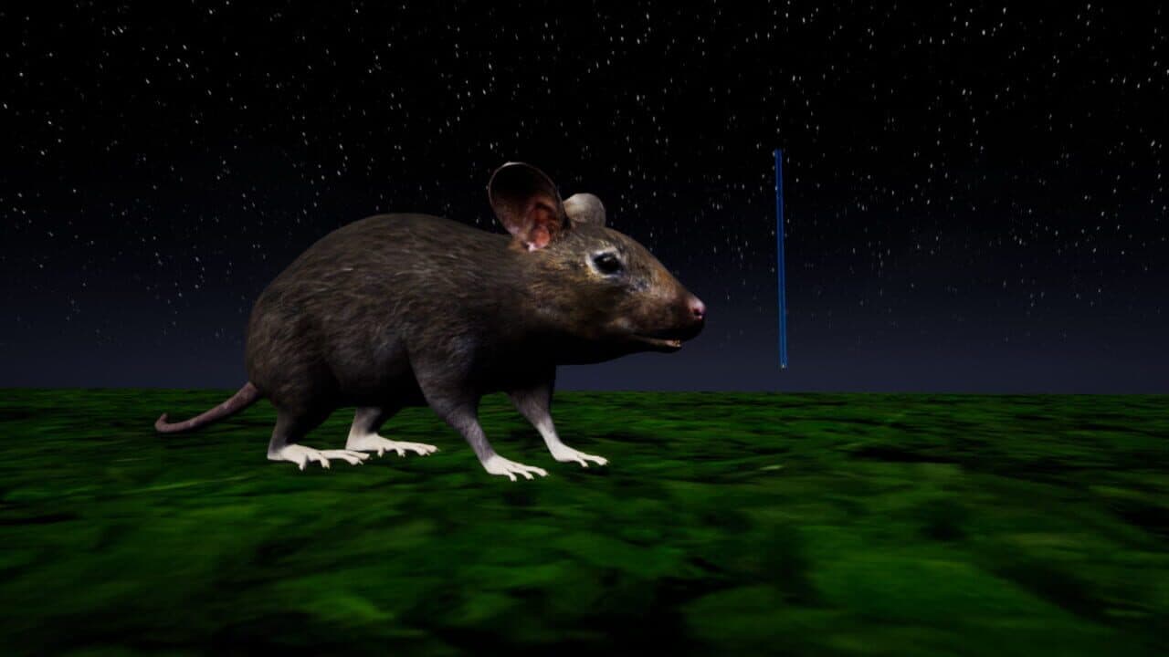 Rat Memory thumbnail 2
