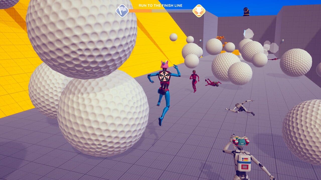 Ragdoll LABS thumbnail 2