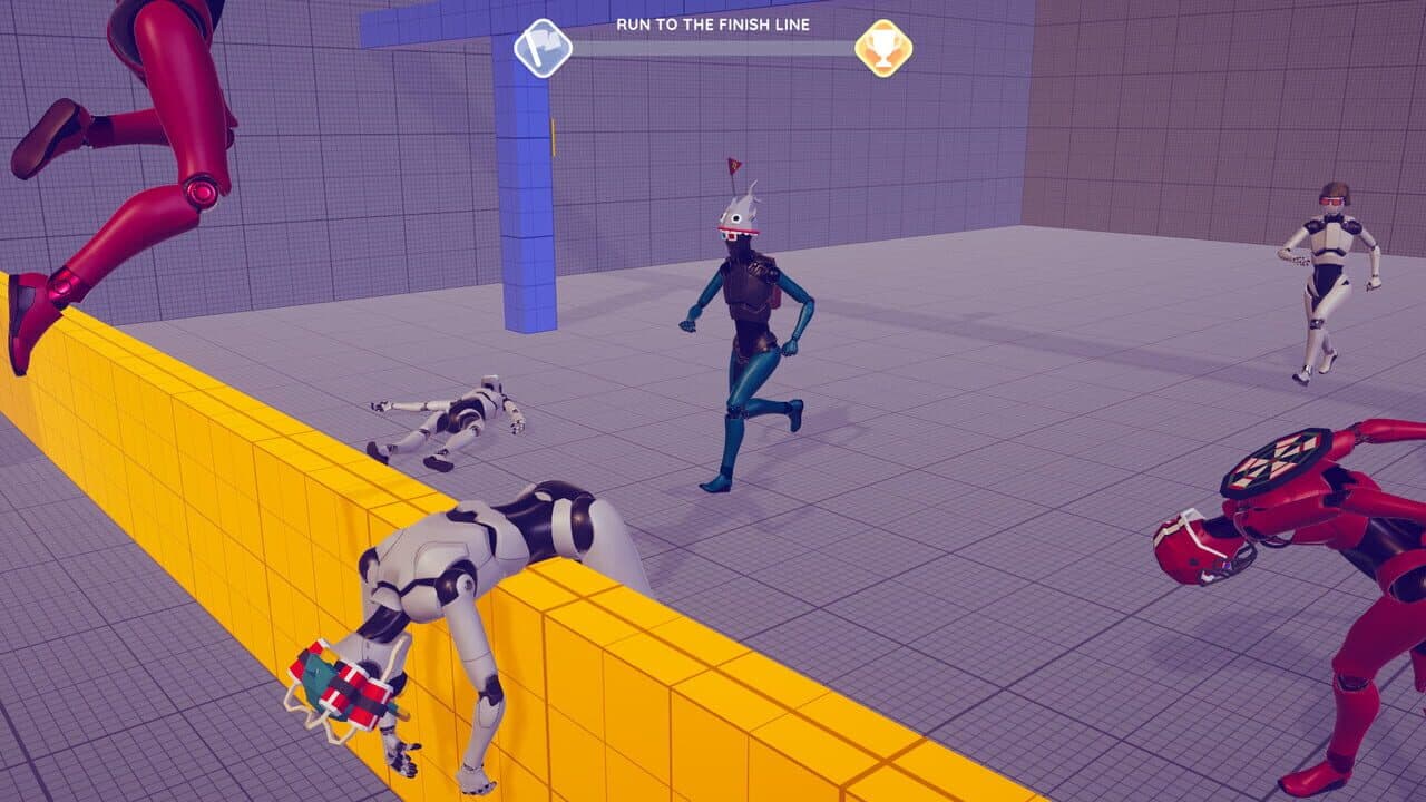 Ragdoll LABS thumbnail 3