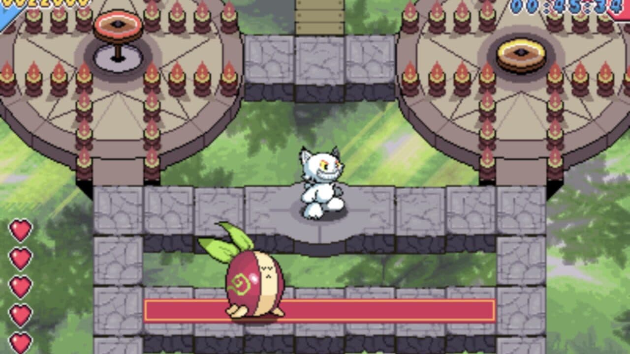 Go! Go! Kokopolo Anniversary Collection thumbnail 2