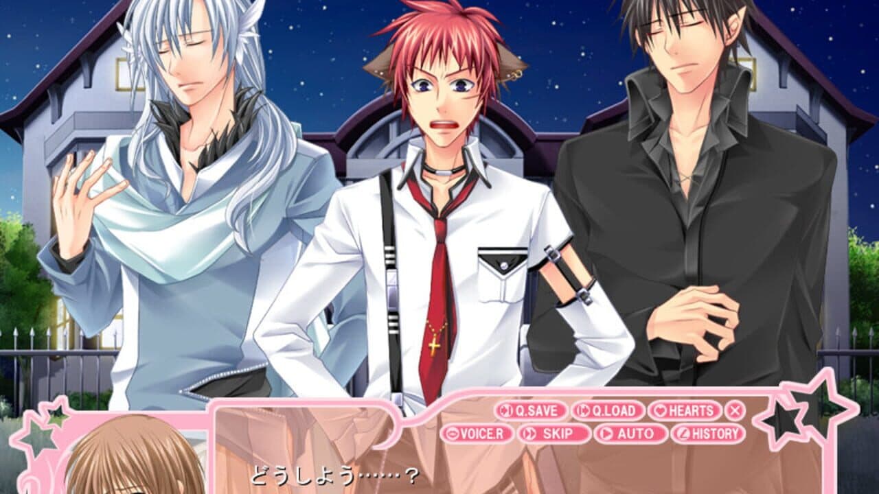 Love Drops: Miracle Doukyo Monogatari thumbnail 2