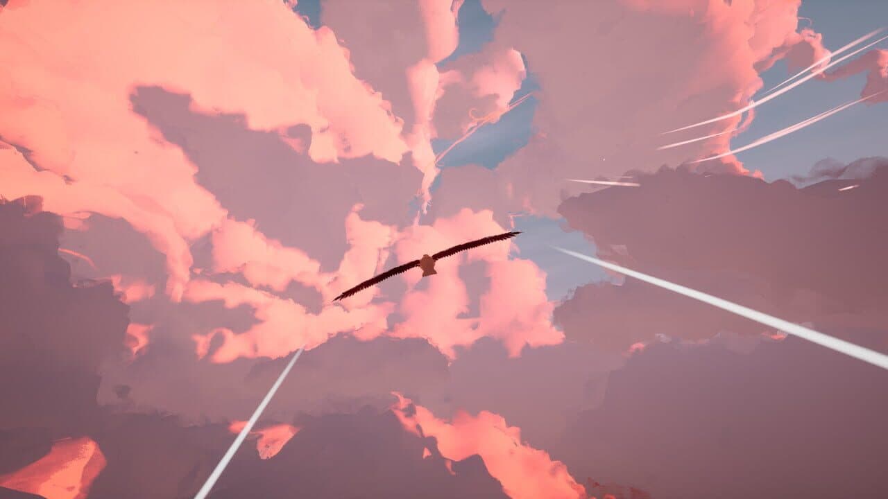 Toroa: Skycall thumbnail 5