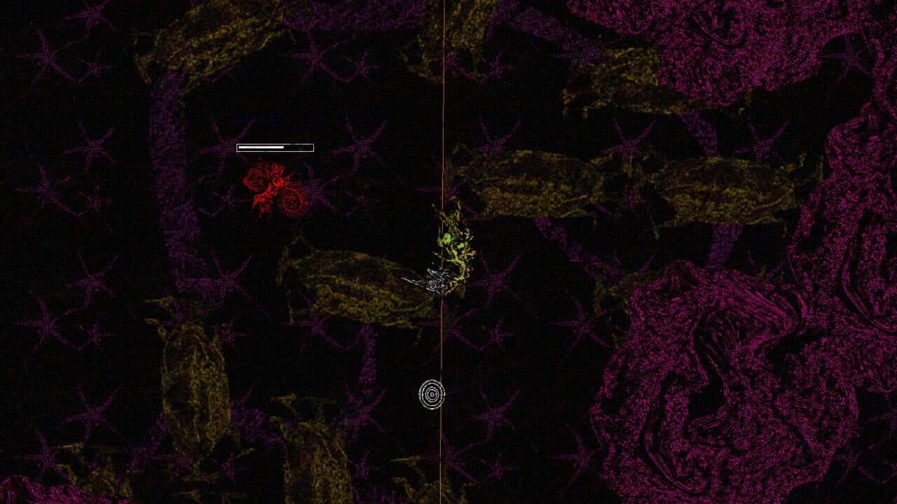 Siphonopolis thumbnail 2