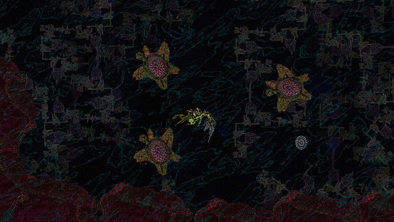 Siphonopolis thumbnail 3