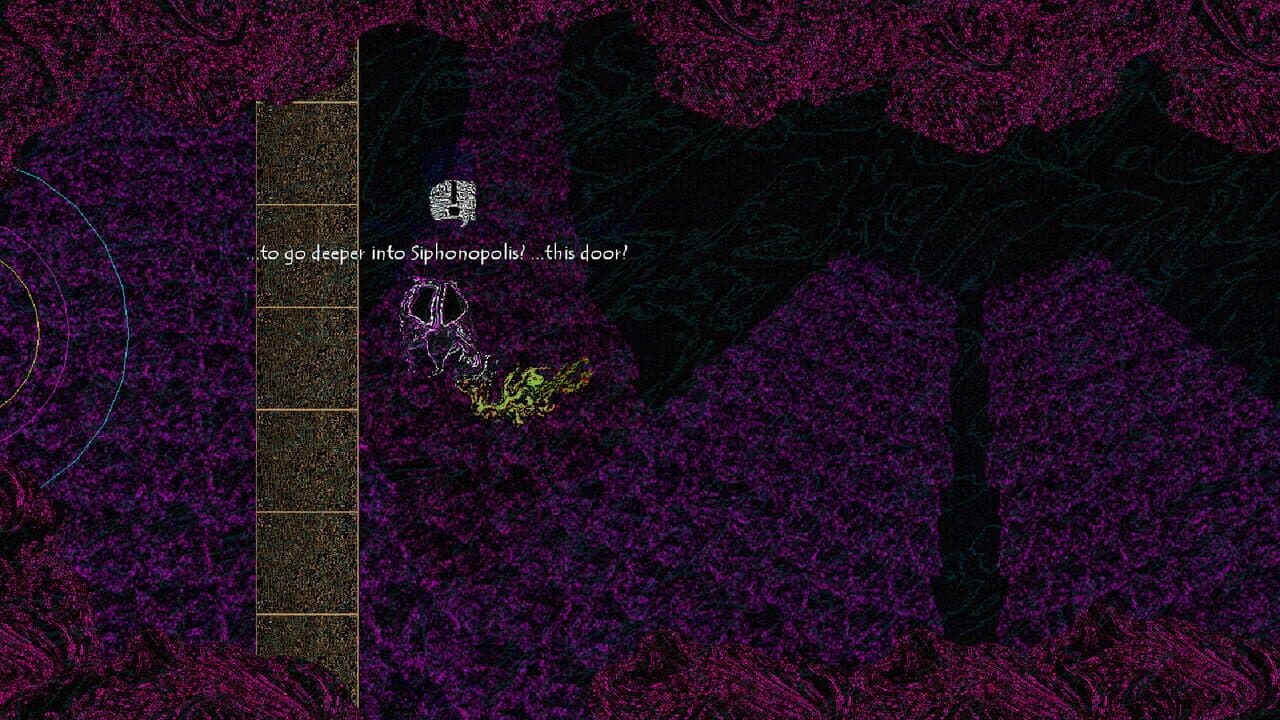 Siphonopolis thumbnail 5