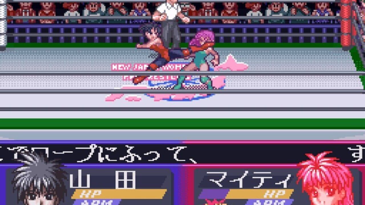 Bishoujo Wrestler Retsuden: Blizzard Yuki Rannyuu!! screenshot 1