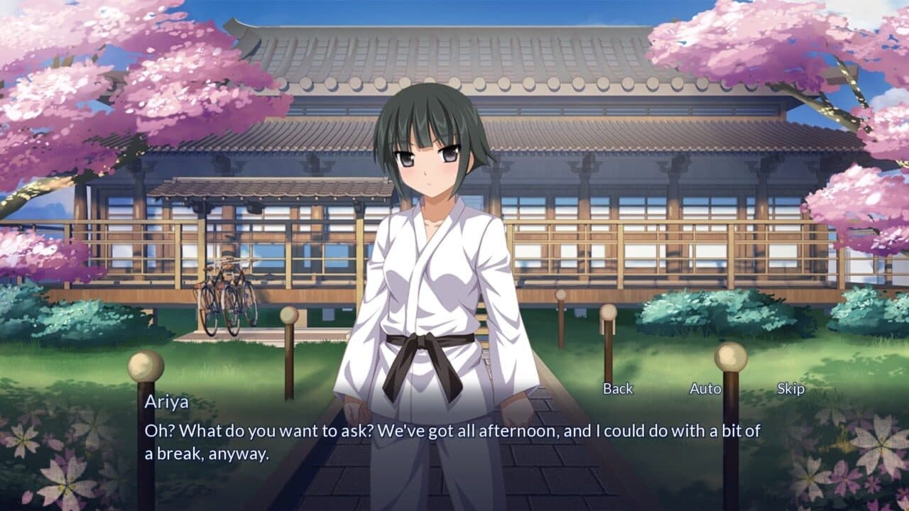 Sakura Spirit screenshot 1
