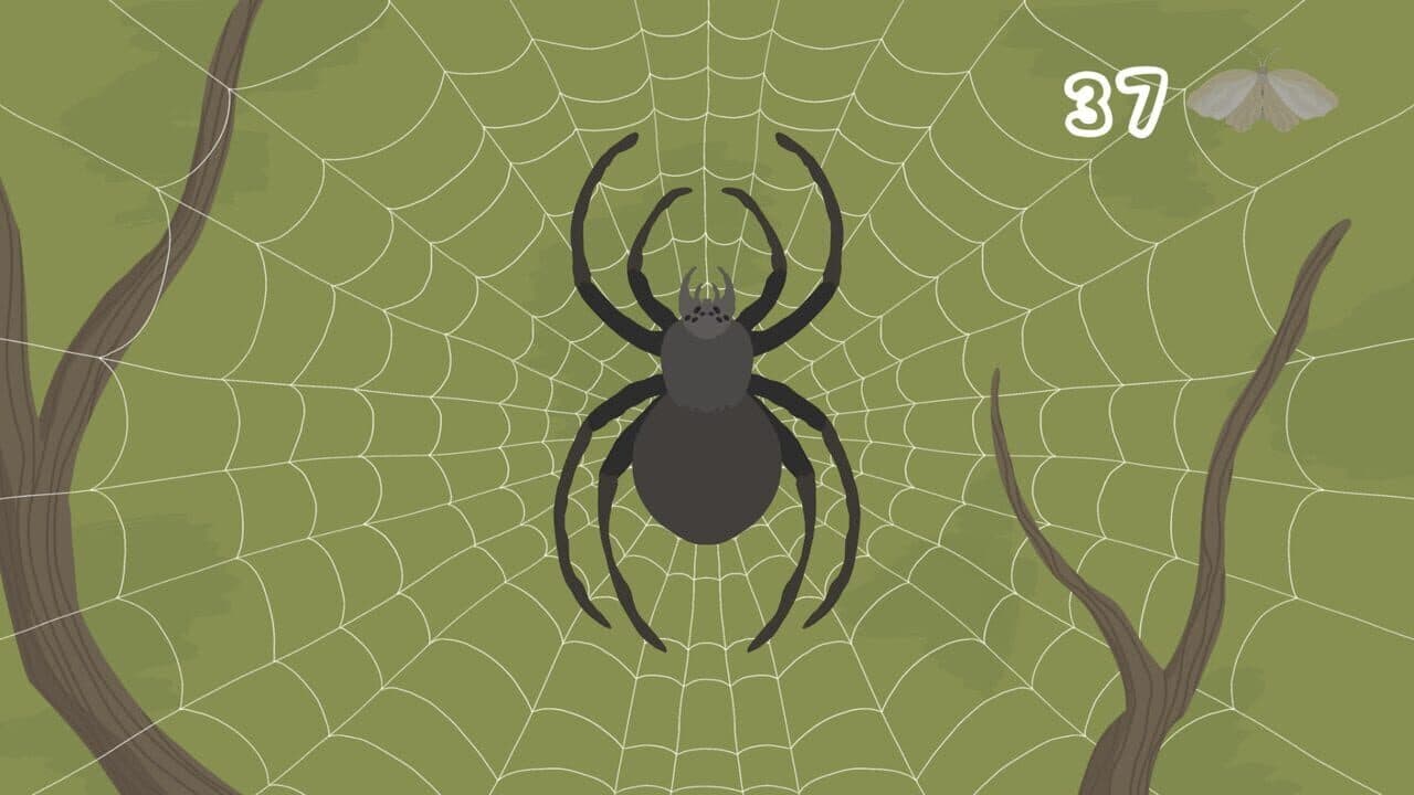 The Spidy D thumbnail 2