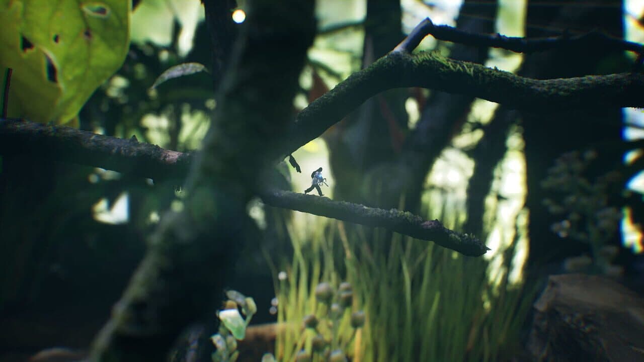 Big Earth thumbnail 19