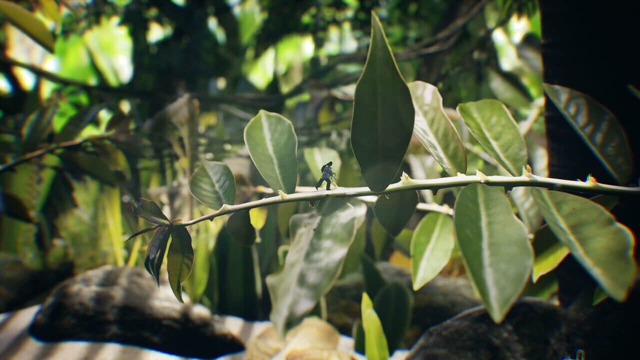 Big Earth thumbnail 6