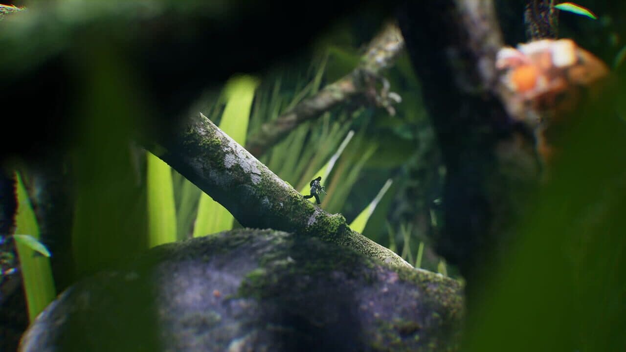 Big Earth thumbnail 7