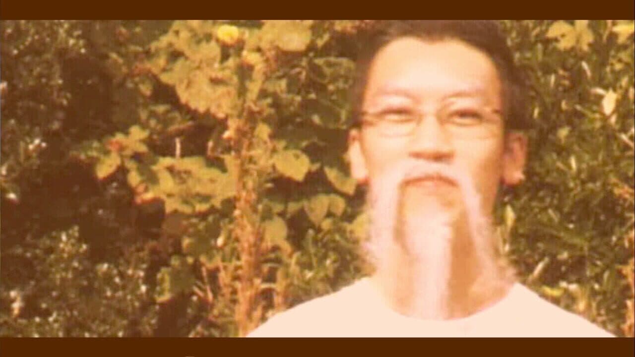 Rag Doll Kung Fu: Black Belt Edition screenshot 1