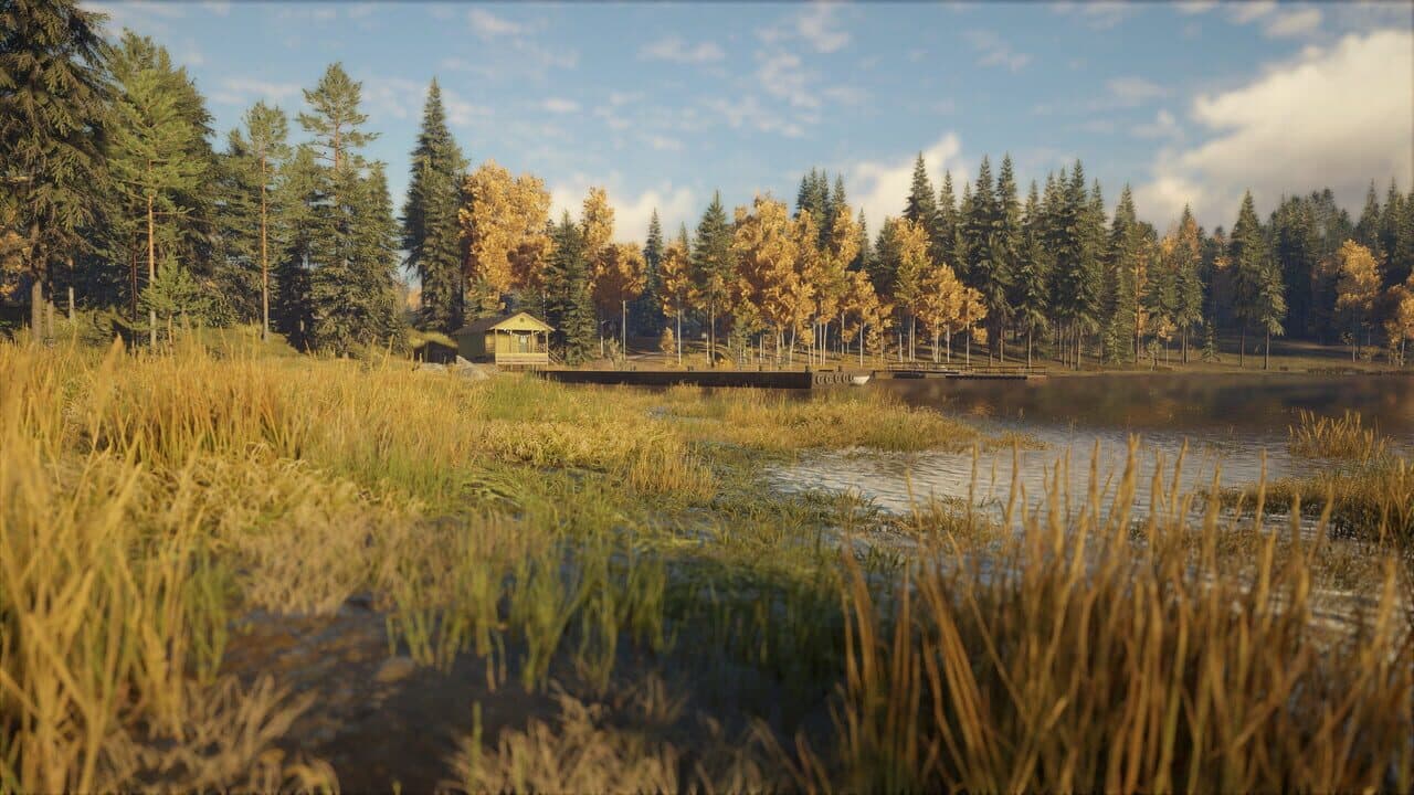 TheHunter: Call of the Wild - Revontuli Coast thumbnail 12
