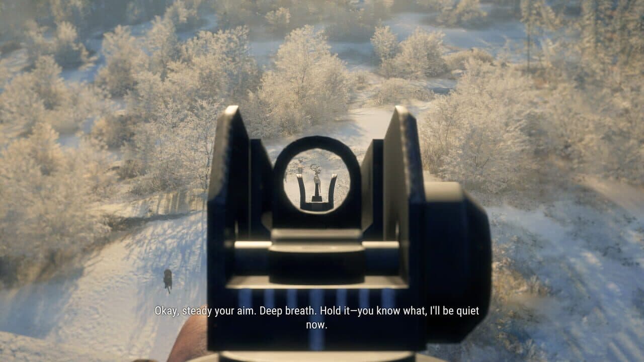 TheHunter: Call of the Wild - Modern Rifle Pack thumbnail 2