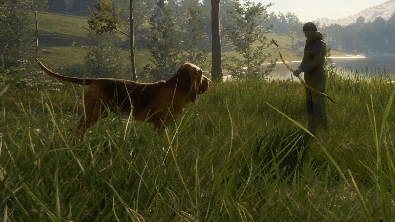 TheHunter: Call of the Wild - Bloodhound thumbnail 3