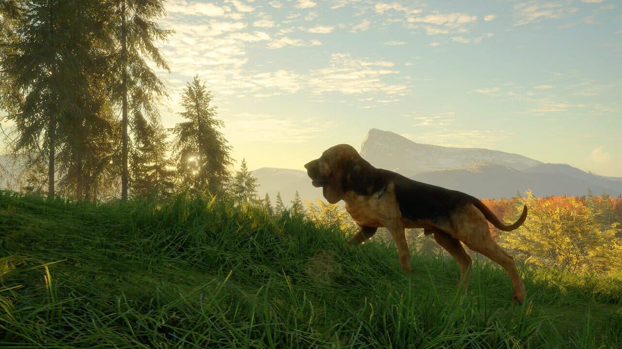 TheHunter: Call of the Wild - Bloodhound thumbnail 4
