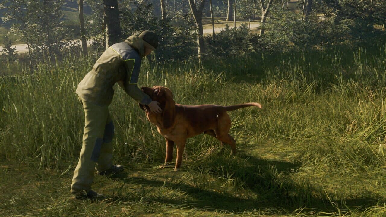 TheHunter: Call of the Wild - Bloodhound thumbnail 6