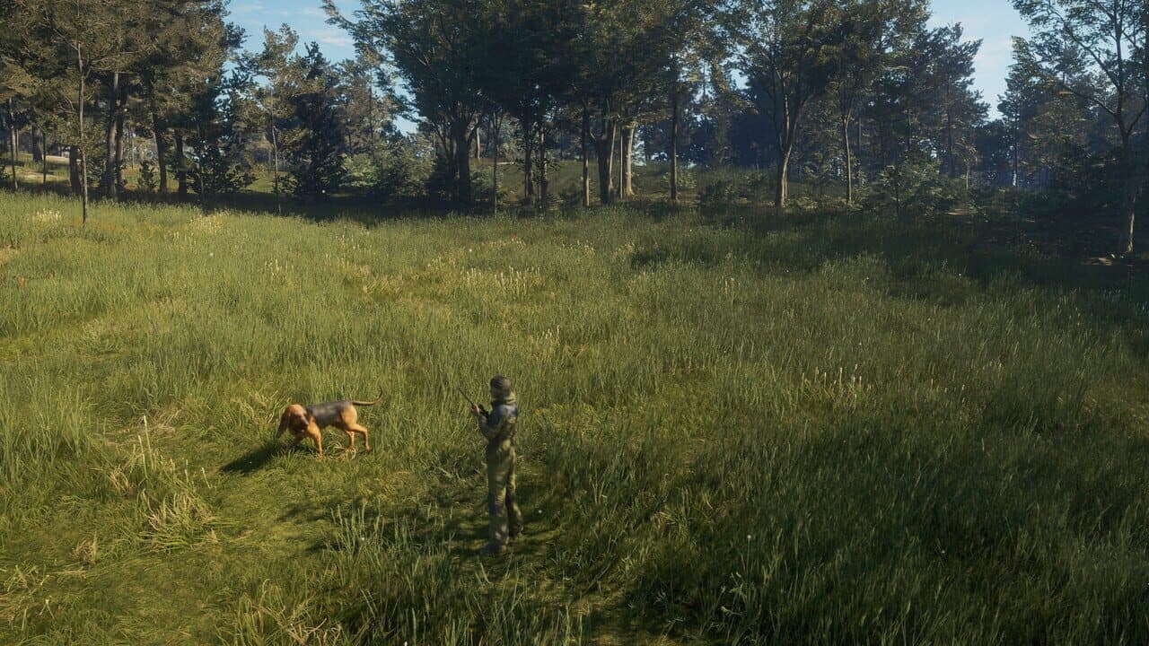 TheHunter: Call of the Wild - Bloodhound thumbnail 7