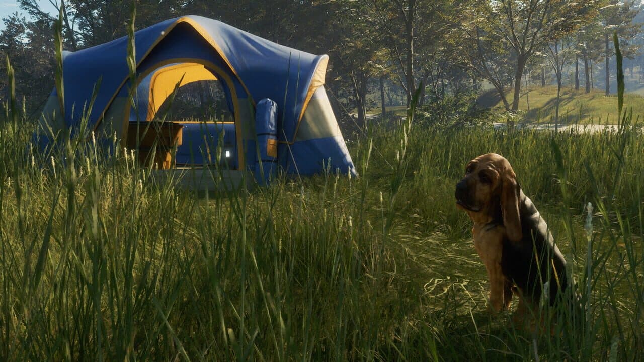 TheHunter: Call of the Wild - Bloodhound thumbnail 8