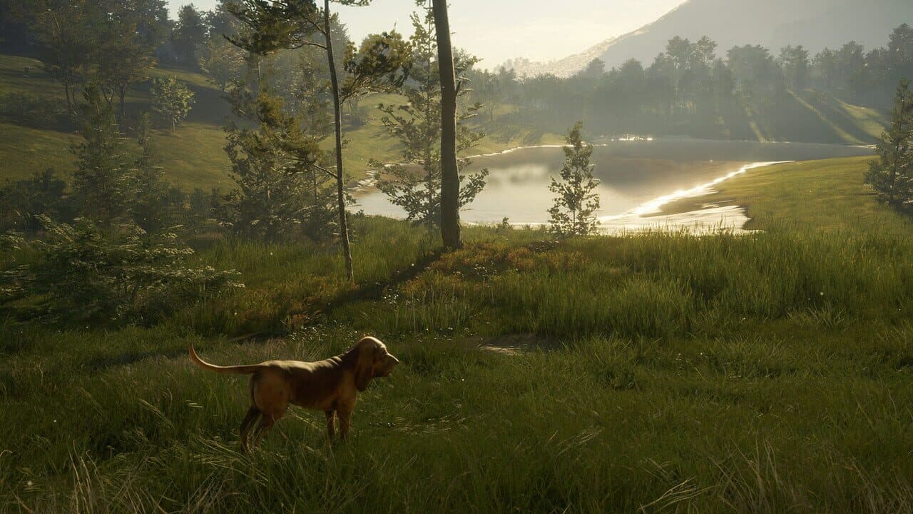 TheHunter: Call of the Wild - Bloodhound thumbnail 9