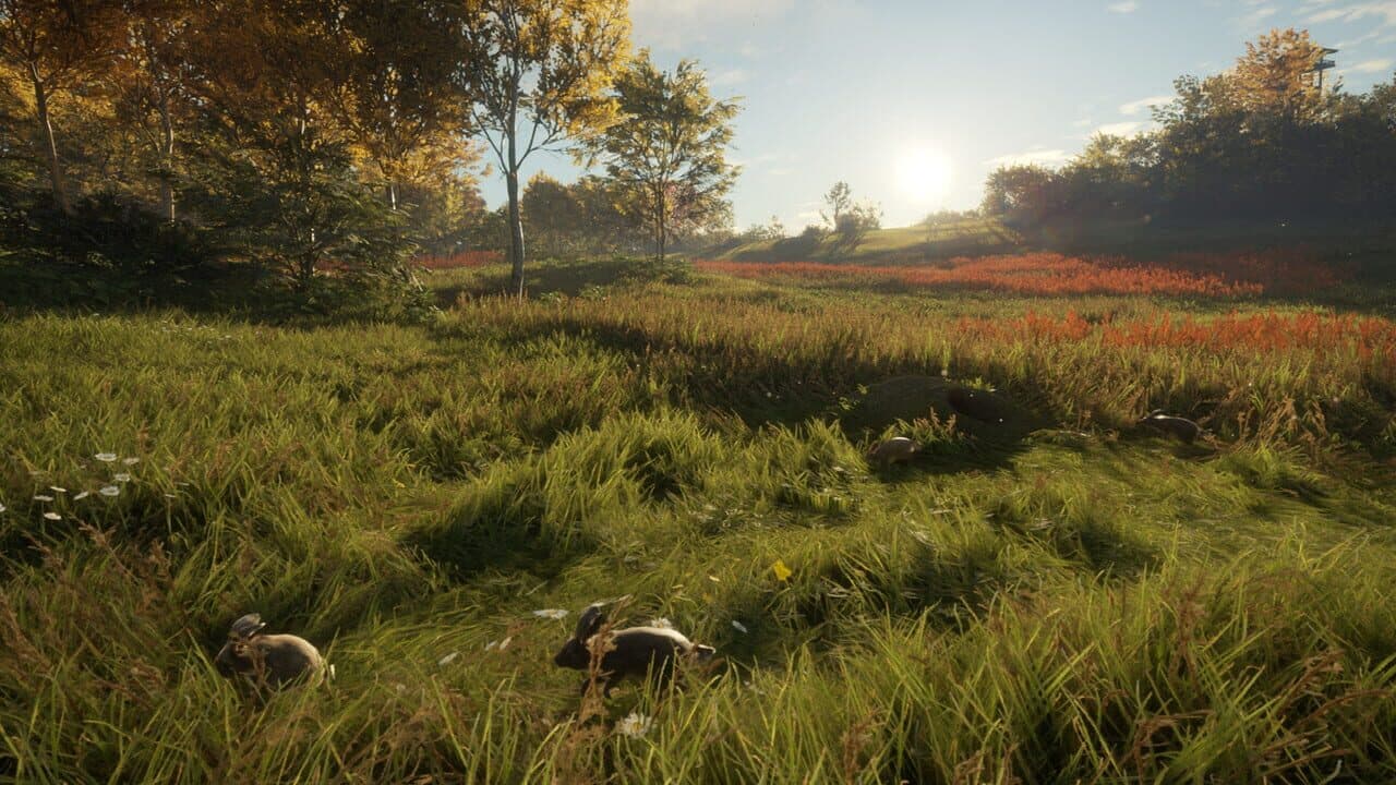 TheHunter: Call of the Wild - Free Species: European Rabbit thumbnail 3